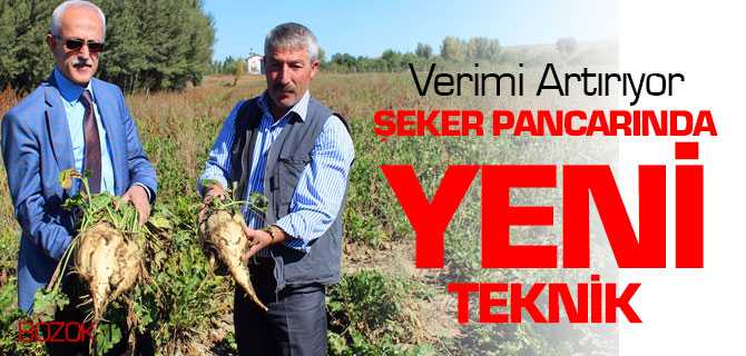 Şeker Pancarında Yeni Teknik, Verimi Artırıyor