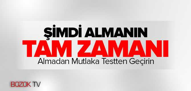 Şimdi Almanın Tam Zamanı