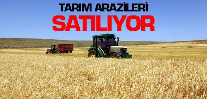 Tarım Arazileri Satılıyor