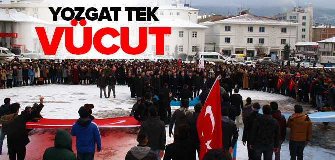 Yozgat Tek Vücut