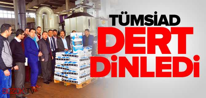 TÜMSİAD Üyeleri Sanayi Esnafını Ziyaret Etti
