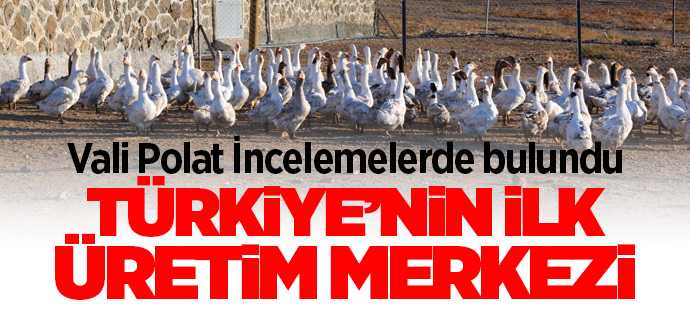 Vali Polat, ülkemizin ilk Kesimhaneli Damızlık Kaz Islahı Üretim Merkezi’ni inceledi