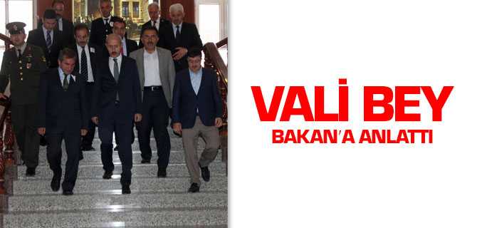 Vali Bey Bakan'a Anlattı