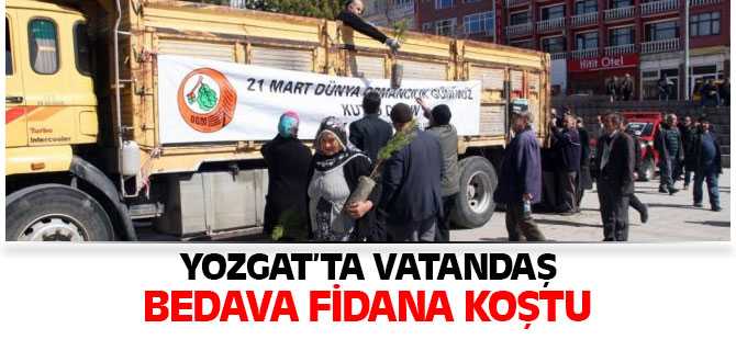 Yozgat'ta Vatandaş Bedava Fidana Koştu