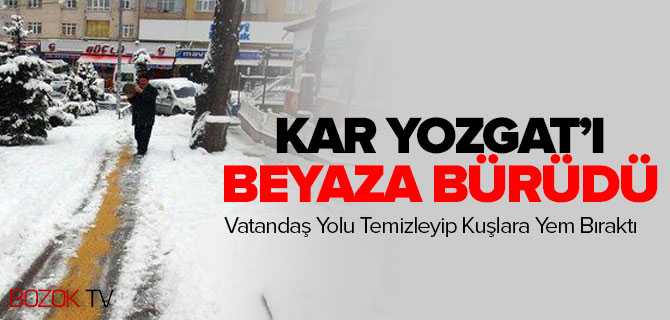 Vatandaş Yol Temizleyip Kuşlar İçin Yem Bıraktı