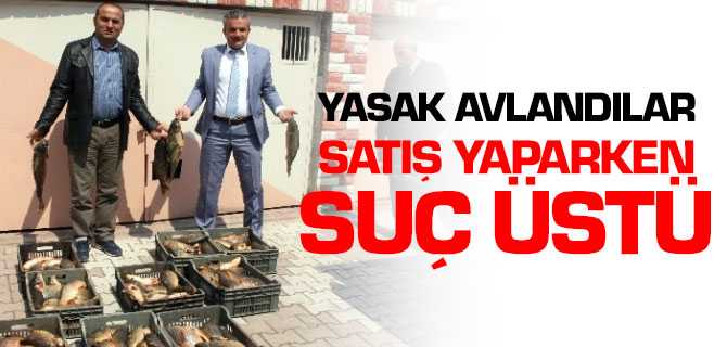 Yasak Balık Avlanan 3 Kişi Satış Yaparken Yakalandı