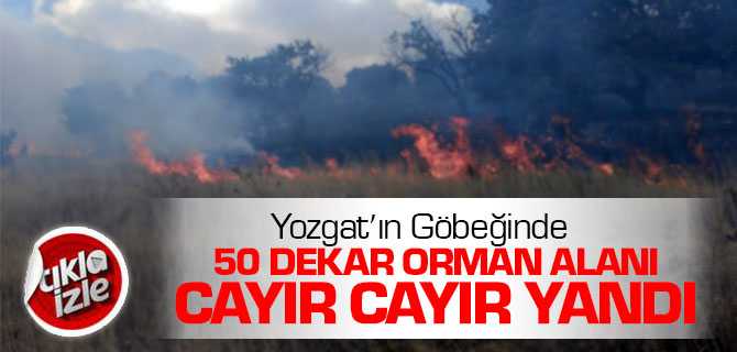 Yozgat'ın Göbeğinde 50 Dekar Alan Cayır Cayır Yandı