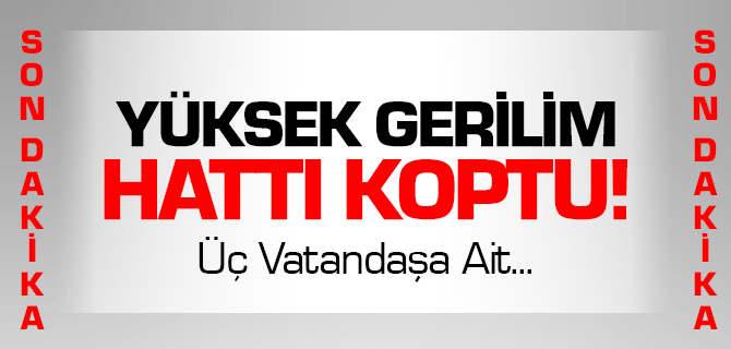 Yerköy'de Yüksel Gerilim Hattı Koptu Hayvanlar Telef Oldu